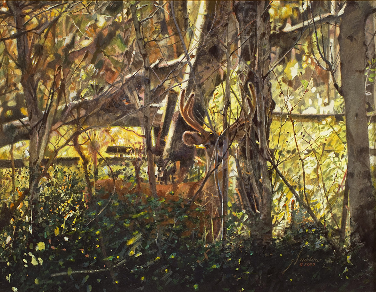 Hidden in Plain Sight by Gordon Snidow