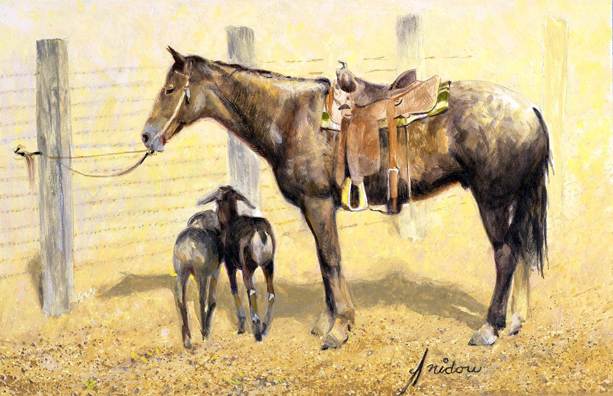 Shade is Anywhere You Find It by Gordon Snidow