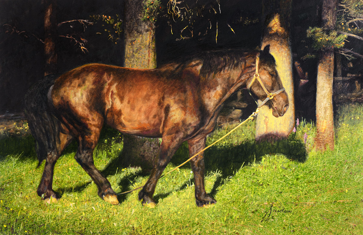 Tethered by Gordon Snidow