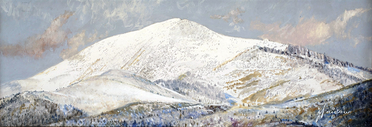 Think Snow by Gordon Snidow